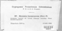 Image Associated With the Occurence